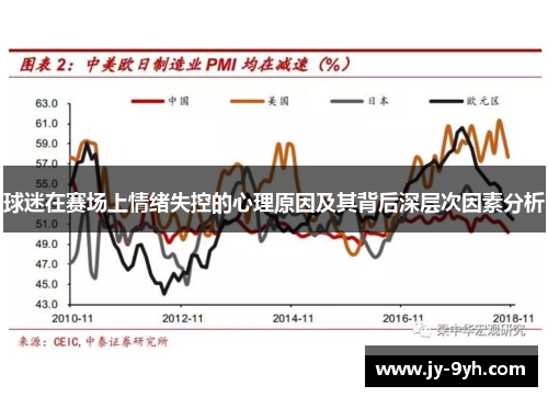 球迷在赛场上情绪失控的心理原因及其背后深层次因素分析