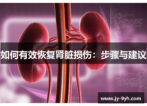 如何有效恢复肾脏损伤：步骤与建议